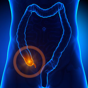 A computer generated drawing of the large intestine with a gold light at the beginning of the intestine
