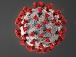 A picture of the virus strand of covid-19